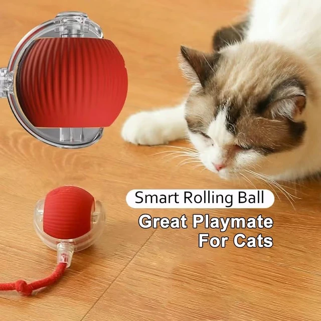 Alt view image 7 of 7 - 2025 Interactive Cat Toys for Indoor Cats - Toys Ball with Tail, Realistic Bird Chirping, Smart Obstacle Avoidance and Auto Restart,Cat Puzzle Toys for Bored Indoor Adult Cats and Dog (RED)
