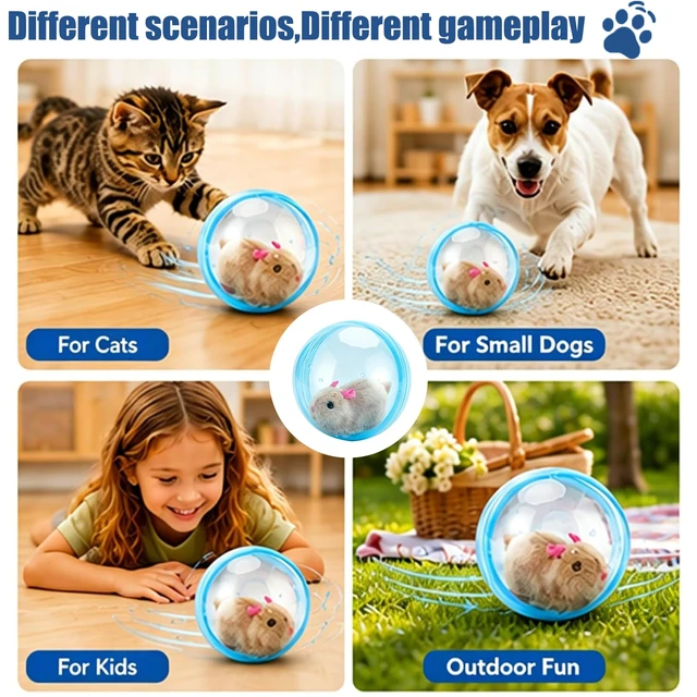 Alt view image 5 of 7 - Interactive Rolling Cat Ball,2026 New Self-Rolling Interactive Cat Ball | 360° Rolling Spin Moving Cat Ball Fun Indoor Interactive Pet Ball for Cats Dogs Chasing