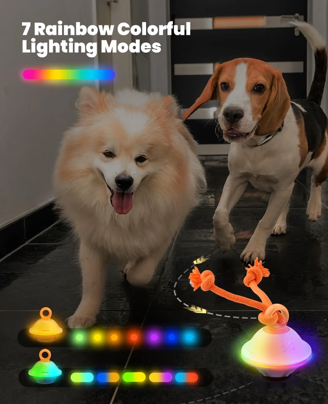 Alt view image 6 of 7 - Smart Interactive Dog Toys, Automatic Moving and Rolling Dogs Ball with Rope, Motion-Activated Squeaky Ball for Small Medium Dogs for Boredom, RGB Lights, Stimulating Sound, Voice Recording