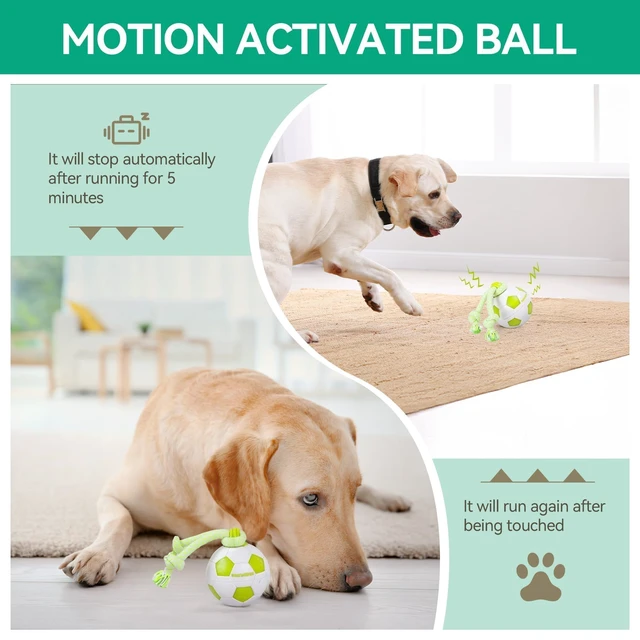 Alt view image 4 of 7 - Interactive Dog Toys, Smart Dog Ball with Durable Rope, Automatic Moving and Rolling Ball Toys for Small Medium Large Dogs, Motion-Activated and USB Rechargeable