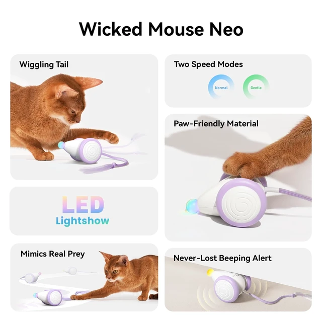 Alt view image 2 of 7 - Interactive Cat Toys for Indoor Cats - Automatic Moving Kitten Toys, Wicked Mouse Neo Cat Toy with Tail & Lights, Pet Cat Supplies, Rechargeable Cat Toys for Bored Indoor Adult Cats, Purple