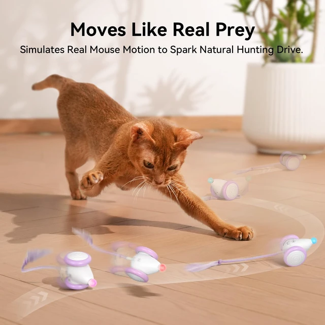 Alt view image 3 of 7 - Interactive Cat Toys for Indoor Cats - Automatic Moving Kitten Toys, Wicked Mouse Neo Cat Toy with Tail & Lights, Pet Cat Supplies, Rechargeable Cat Toys for Bored Indoor Adult Cats, Purple