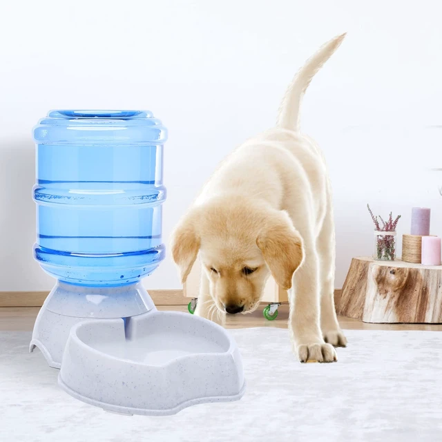 Alt view image 6 of 7 - Pet Water Dispenser Automatic for Dogs Cats, BPA-Free, Gravity Refill, Self Feeding for Small Medium Pets Puppy Kitten Rabbit - 1 Gallon (Waterer)