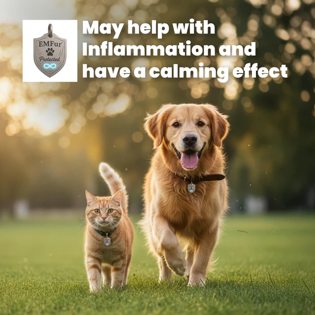 Alt view image 6 of 7 - Protection Pet Tag EMF Neutralizing Tag for Dogs & Cats by Dr. Valerie Nelson Easily Attach To Collar USA Made - Utilizing EMF Neutralizing Technology Safe and Natural Wellness Support for Pet