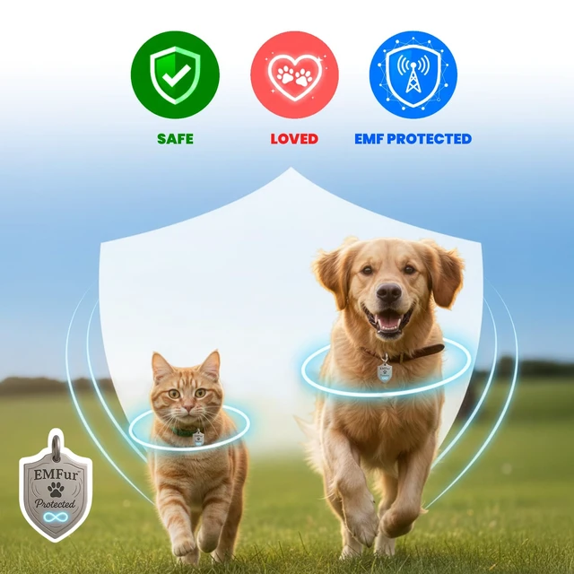 Alt view image 5 of 7 - Protection Pet Tag EMF Neutralizing Tag for Dogs & Cats by Dr. Valerie Nelson Easily Attach To Collar USA Made - Utilizing EMF Neutralizing Technology Safe and Natural Wellness Support for Pet