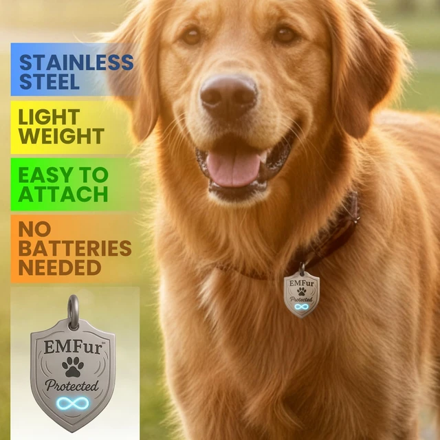 Alt view image 7 of 7 - Protection Pet Tag EMF Neutralizing Tag for Dogs & Cats by Dr. Valerie Nelson Easily Attach To Collar USA Made - Utilizing EMF Neutralizing Technology Safe and Natural Wellness Support for Pet