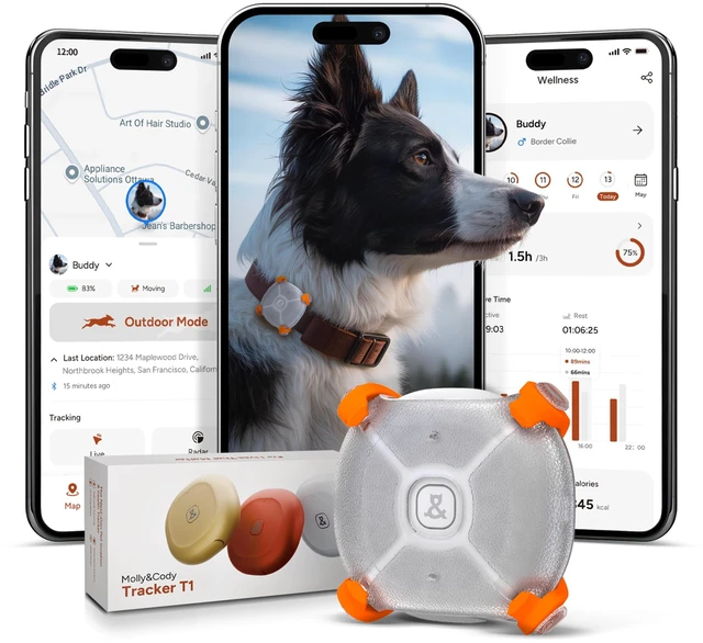 Main image of Smart Dog & Cat GPS Tracker, 4 Smart Modes Real-Time Pet Tracker with Custom Virtual Fence IP67 Waterproof Location History & 365-Day Health Data Monitoring, Subscription Required