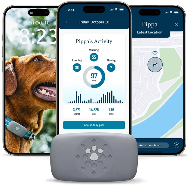Main image of Dog GPS Tracker Collar, Activity and Real Time Tracking | Find your dog faster with live GPS tracking, activity insights, and up to 30-day battery life
