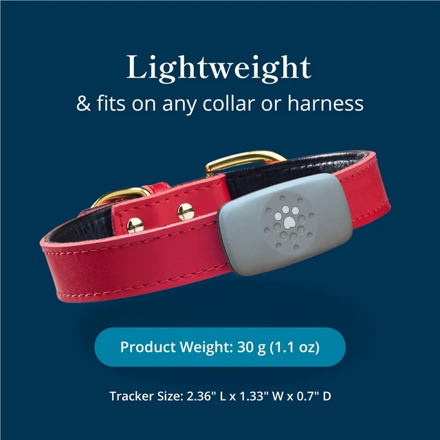 Alt view image 4 of 7 - Dog GPS Tracker Collar, Activity and Real Time Tracking | Find your dog faster with live GPS tracking, activity insights, and up to 30-day battery life