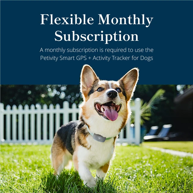 Alt view image 3 of 7 - Dog GPS Tracker Collar, Activity and Real Time Tracking | Find your dog faster with live GPS tracking, activity insights, and up to 30-day battery life