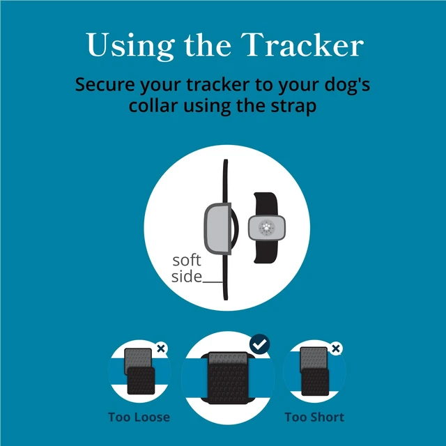 Alt view image 6 of 7 - Dog GPS Tracker Collar, Activity and Real Time Tracking | Find your dog faster with live GPS tracking, activity insights, and up to 30-day battery life