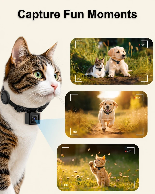 Alt view image 6 of 7 - Cat Camera Collar with Tracker Tag, 1080P HD Pet POV Action Cam, No WiFi No App One-Click Video Recorder for Cats & Small Dogs Lightweight 0.7oz, Night Vision,Laptop Playback