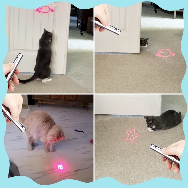 Alt view image 6 of 7 - Cat Toy, 2 Pieces, Rechargeable, 3 Light Modes, 5 Fun Patterns | Interactive Chase Toy; Automatic Training & Exercise Fun; Kitten Toy for Indoor Cats & Dogs