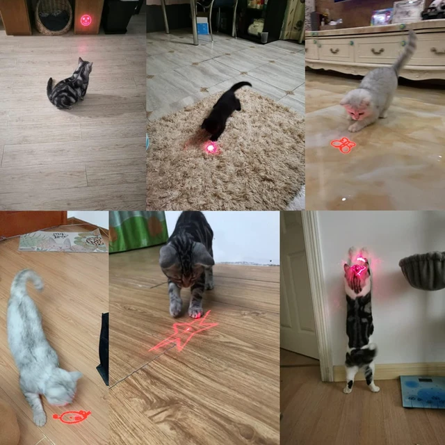 Alt view image 6 of 7 - Interactive Cat Toy, Rechargeable Red Light Chasing Toy for Indoor Cats, 3 Modes & 5 Moving Patterns, Automatic Pet Exercise Toy for Kitten & Puppy Play (2 PCS)