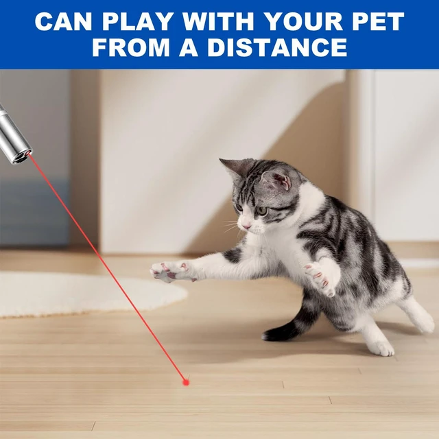 Alt view image 7 of 7 - Damflew 2pcs Laser Pointer, Cat Toys for Indoor Cats, Kitten Dog Laser Pen Toy, Red Dot LED Light Pointer Interactive Toys for Indoor Cats Dogs, USB Charging, 5 Switchable Patterns