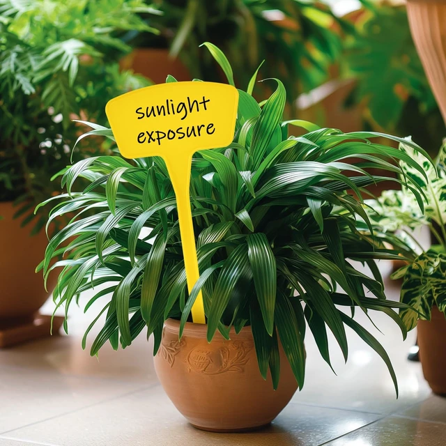 Alt view image 4 of 6 - Plant Labels60 Pcs Yuanling Plant Markers Large Plastic Plant Tags T-Type Waterproof Garden Labels for Outdoor Indoor Potted Plants Flowers Seeds Herbs with Garden Marker Pen