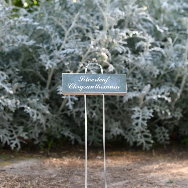 Alt view image 7 of 7 - 30 Pack Metal Plant Labels for Outdoor Garden Waterproof Plant Markers, Labels Garden Markers for Seedlings Herbs Vegetable Greenhouse Gifts, with Pen