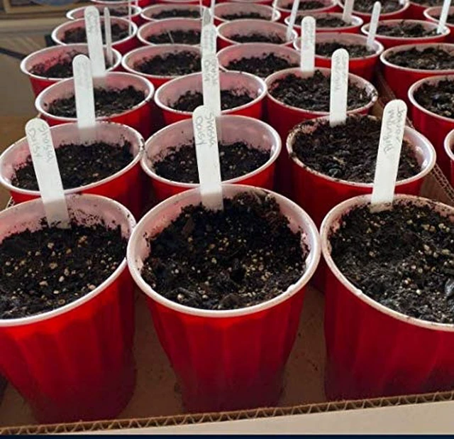 Alt view image 3 of 3 - 6 Inch Plant Markers, White - 100pcs
