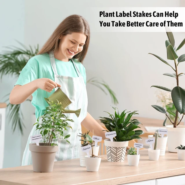 Alt view image 7 of 7 - Plant Labels 200Pcs 4 Inch T-Type Tags with Permanent Marking Pen | Waterproof Plastic Garden Seed Labels Markers Stakes for Outdoor - Plant Name Tags for Garden Nursery Greenhouse
