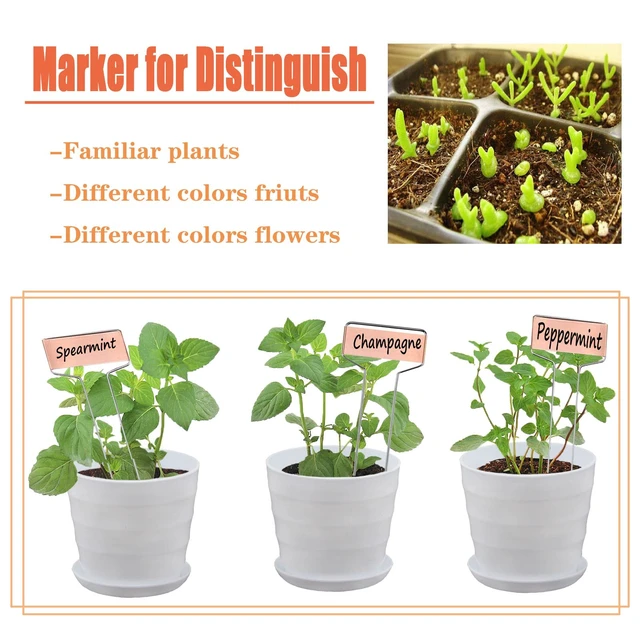 Alt view image 3 of 7 - 30pcs Plant Labels Copper Plant Markers for Outdoor Plants 6inch Plant Labels for Seedlings Outdoor Garden Waterproof Plant Tags and Labels for Flower Vegetable Herbs Greenhouse (6 in, Copper)
