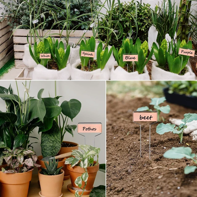 Alt view image 4 of 7 - 30pcs Plant Labels Copper Plant Markers for Outdoor Plants 6inch Plant Labels for Seedlings Outdoor Garden Waterproof Plant Tags and Labels for Flower Vegetable Herbs Greenhouse (6 in, Copper)
