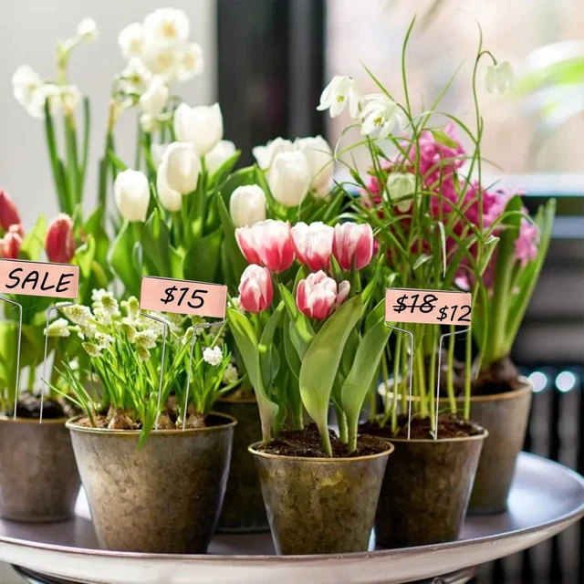 Alt view image 5 of 7 - 30pcs Plant Labels Copper Plant Markers for Outdoor Plants 6inch Plant Labels for Seedlings Outdoor Garden Waterproof Plant Tags and Labels for Flower Vegetable Herbs Greenhouse (6 in, Copper)