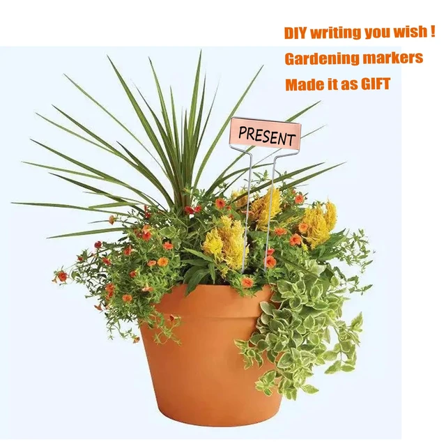 Alt view image 7 of 7 - 30pcs Plant Labels Copper Plant Markers for Outdoor Plants 6inch Plant Labels for Seedlings Outdoor Garden Waterproof Plant Tags and Labels for Flower Vegetable Herbs Greenhouse (6 in, Copper)