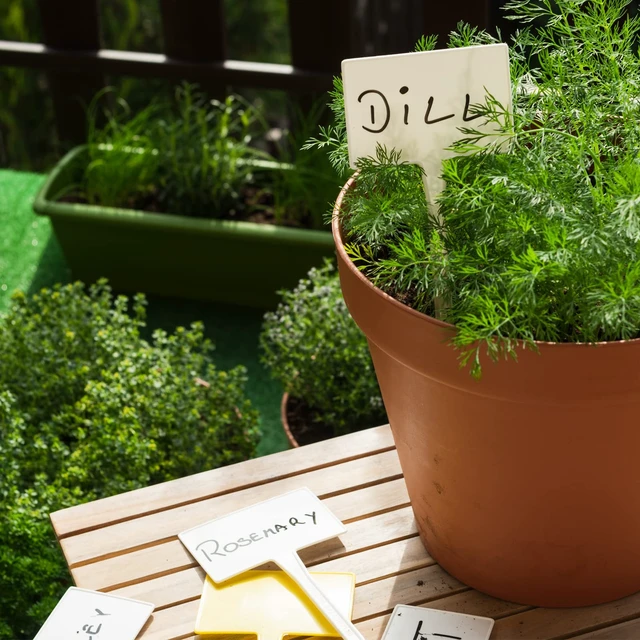 Alt view image 4 of 7 - Garden Markers Waterproof, Outdoor Large Plant Id Tags Tall Plant Labels, Plastic Garden Signs Identification Stakes, for Vegetables Herb Seed Pot Flower, 50pcs 11'' Long