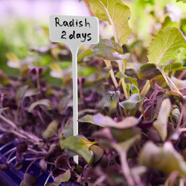 Alt view image 6 of 7 - Garden Markers Waterproof, Outdoor Large Plant Id Tags Tall Plant Labels, Plastic Garden Signs Identification Stakes, for Vegetables Herb Seed Pot Flower, 50pcs 11'' Long