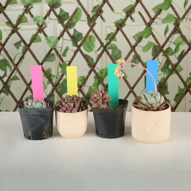 Alt view image 5 of 6 - 1000 Pcs Plant Tags and Labels - Plastic Waterproof Garden Markers | 4 Inch Nursery Pot Stake Tags, Plant Seed Label for Outdoor Garden, 5 Colors