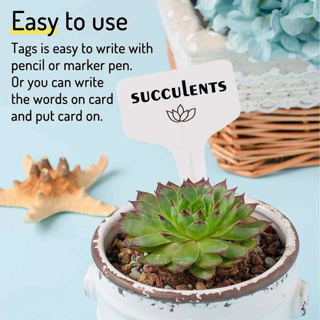 Alt view image 2 of 7 - 200pcs Plant Label, Seed Remark Name Sign Waterproof Flower Pot Name Marker | Record Plant Time Name Garden Seedling Marker Nursery Plant Tags Seed Label Potted Plant Stakes for Outdoor Indoor Garden