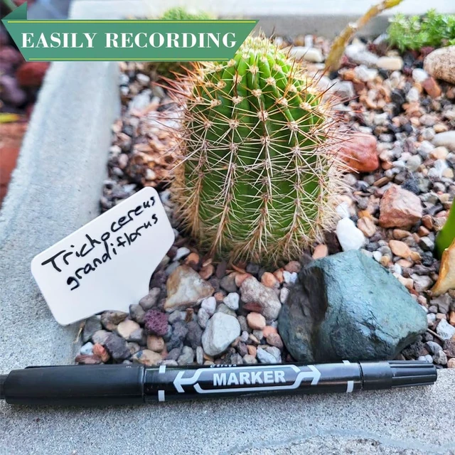Alt view image 4 of 7 - 200pcs Plant Label, Seed Remark Name Sign Waterproof Flower Pot Name Marker | Record Plant Time Name Garden Seedling Marker Nursery Plant Tags Seed Label Potted Plant Stakes for Outdoor Indoor Garden