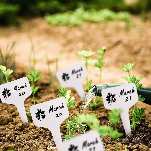 Alt view image 7 of 7 - 200pcs Plant Label, Seed Remark Name Sign Waterproof Flower Pot Name Marker | Record Plant Time Name Garden Seedling Marker Nursery Plant Tags Seed Label Potted Plant Stakes for Outdoor Indoor Garden