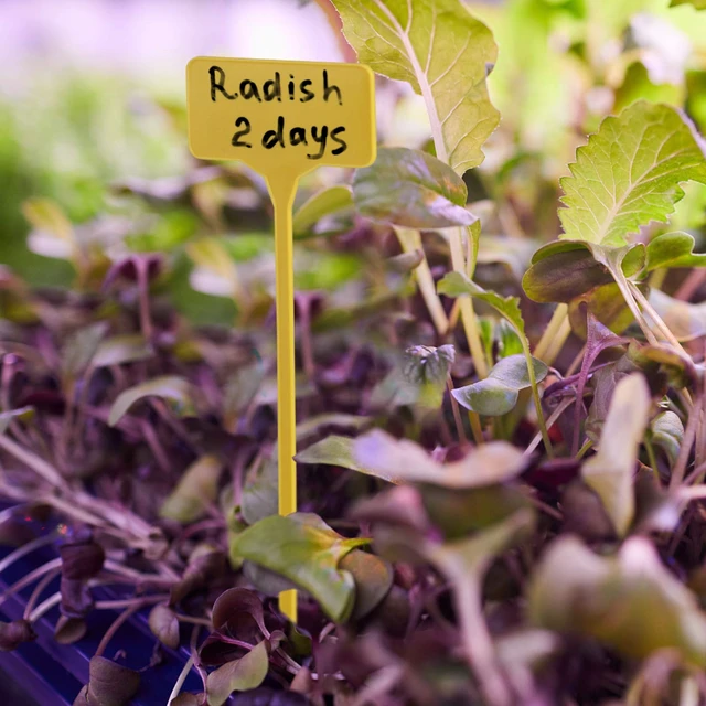 Alt view image 3 of 6 - 50 Pack Outdoor Tall Plant Labels, Large Waterproof Plastic Plant T-Type Tags, Durable Nursery Garden Markers, Perfect for Herbs, Flowers, Vegetable and Potted Plants