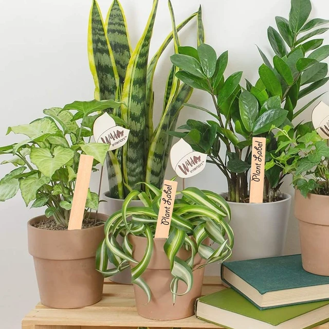 Alt view image 4 of 7 - 50Pcs Wooden Plant Labels Plant Tags 6 Inch Garden Plants Markers Waterproof Seed Labels Markers Sticks Outdoor Garden Label Stakes Sign Wooden Plants Name Tags for Seedling Vegetables Flower