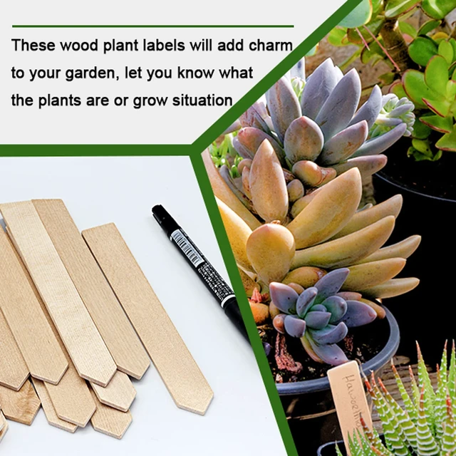 Alt view image 5 of 7 - 50Pcs Wooden Plant Labels Plant Tags 6 Inch Garden Plants Markers Waterproof Seed Labels Markers Sticks Outdoor Garden Label Stakes Sign Wooden Plants Name Tags for Seedling Vegetables Flower