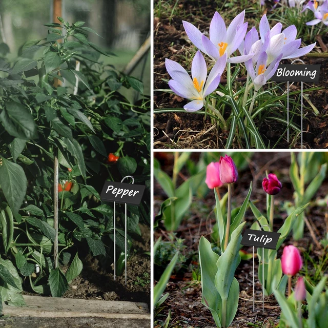 Alt view image 6 of 7 - 30pcs Plant Labels for Outdoor Garden Waterproof Plant Markers for Outdoor Plants, 11inch Metal Plant Tags and Labels Garden Markers for Seedlings Herbs Vegetable Greenhouse Gifts (Black)