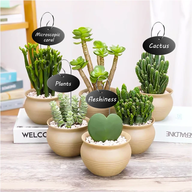 Alt view image 6 of 6 - 25 Pack Acrylic Plant Labels Stakes with Pen for Garden Plants | Waterproof reusable acrylic plant markers, Plant Tags for seeds, flowers, herbs, vegetables, indoor & outdoor gardening