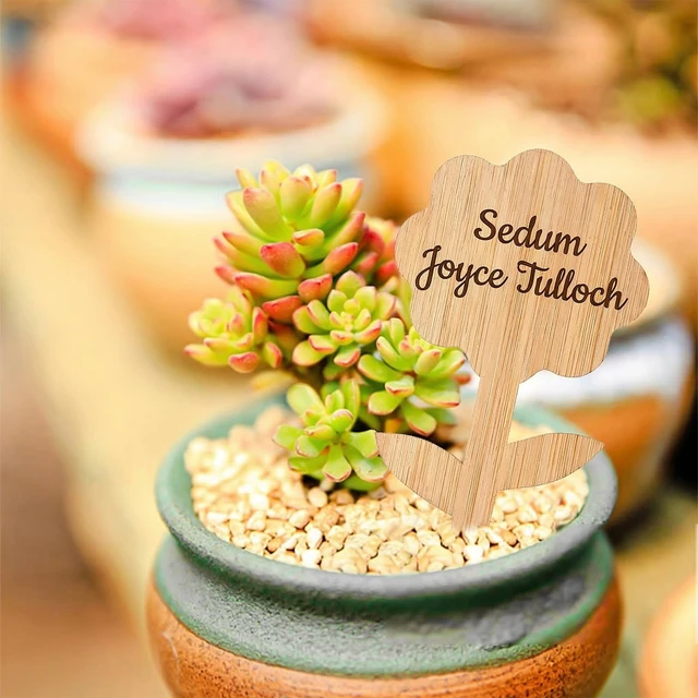 Alt view image 5 of 7 - 90 Pack 9 Styles Bamboo Plant Labels, Wood Plant Name Stakes Seedling Label Sticks, Garden Plant Tags for Indoor & Outdoor Plants