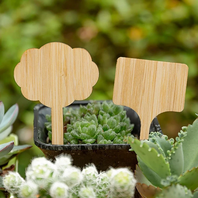 Alt view image 6 of 7 - 90 Pack 9 Styles Bamboo Plant Labels, Wood Plant Name Stakes Seedling Label Sticks, Garden Plant Tags for Indoor & Outdoor Plants