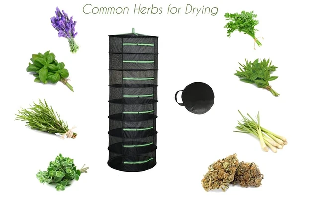 Alt view image 3 of 7 - Herb Drying Rack 8 Layer 2ft Foldable Hanging Mesh Net Dryer with Green Zippers, Free Storage Bag