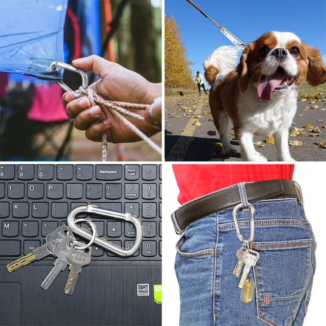 Alt view image 7 of 7 - 3" Aluminum Carabiner D Ring, Keychain Spring Snap Hooks 10 Pack | Multipurpose Key Clips for Bag Buckle, Backpack, Water Bottle, Dog Leash, Camping, Hiking, Fishing & Outdoor Accessories