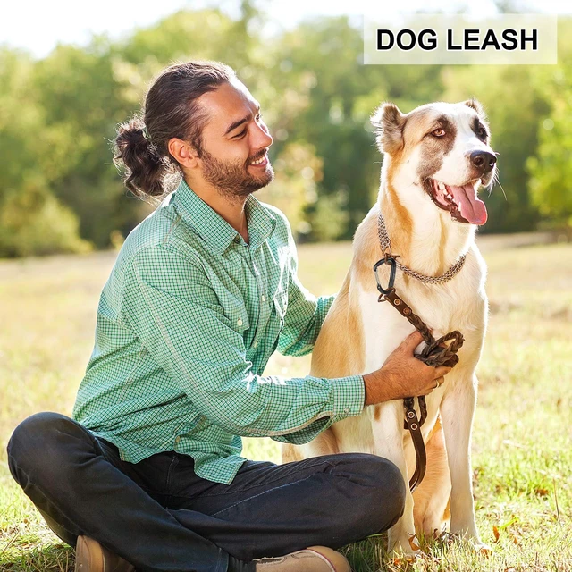 Alt view image 6 of 7 - 12kN Heavy Duty Carabiner Clip: Great for Keys Hammock & Dog Leash | Secures Large Water Bottles & Keys - Small Rustproof Aluminum Wiregate Carbineers - Snag-free D Ring for Camping & Hiking