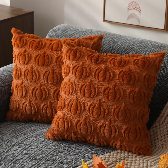 Main image of Fall Pillow Covers 18x18 2Pcs Rust Pumpkin Fall Decorations for Home | Fall decor Set of 2 Throw Pillow Cases Soft Plush Faux Fur Wool Couch Cushion for Chair Sofa Bedroom Living Room Home Decor