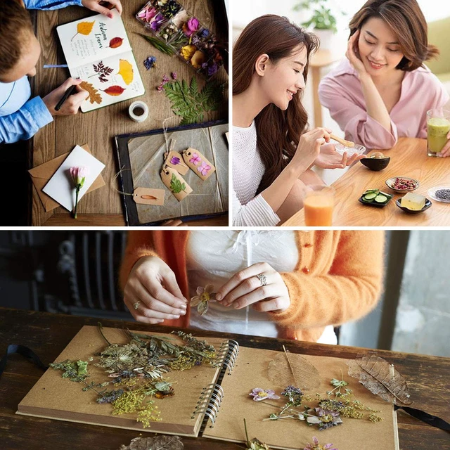 Alt view image 7 of 7 - 16 Bags Dried Flowers,100% Natural Dried Flowers Herbs Kit for Soap Making, DIY Candle Making,Bath - Include Rose Petals,Lavender,Don't Forget Me,Lilium,Jasmine,Rosebudsand More