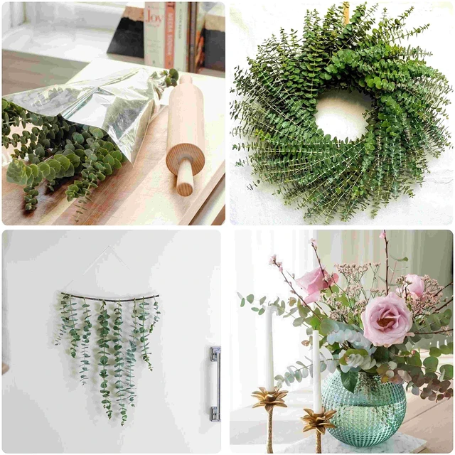 Alt view image 6 of 6 - 10 Pcs Dried Eucalyptus Stems, 17" Natural Eucalyptus for Shower Hanging | Real fresh, preserved plant leaves, eucalyptus branches for bathroom, vase, wedding, home decor, baby shower, DIY