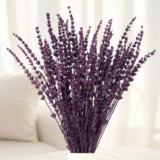 Main image of Dried Lavender Flowers, Preserved Purple Lavender Bundle, 15" -17" Natural Dried Flowers Bouquet for Wedding Vase Decor, Home Fragrance, Bathroom, Photo Props, Crafts, 70g (2.5oz)