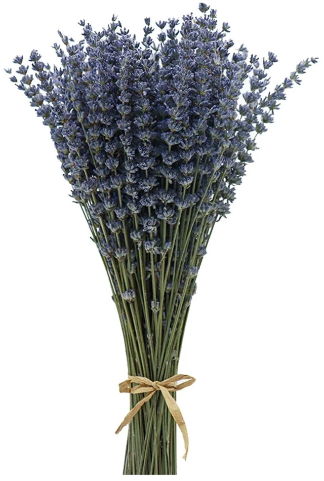Main image of Dried Lavender Flowers Bundles 200 Stems Dry Lavender Bunch for Home Decor, Crafts, Wedding Bouquets