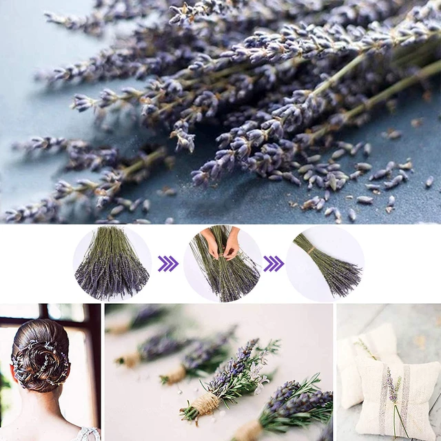 Alt view image 3 of 7 - Dried Lavender Flowers Bundles 200 Stems Dry Lavender Bunch for Home Decor, Crafts, Wedding Bouquets