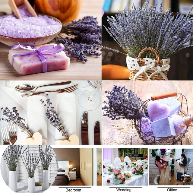Alt view image 5 of 7 - Dried Lavender Flowers Bundles 200 Stems Dry Lavender Bunch for Home Decor, Crafts, Wedding Bouquets